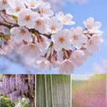 Thumbnail of post image 104